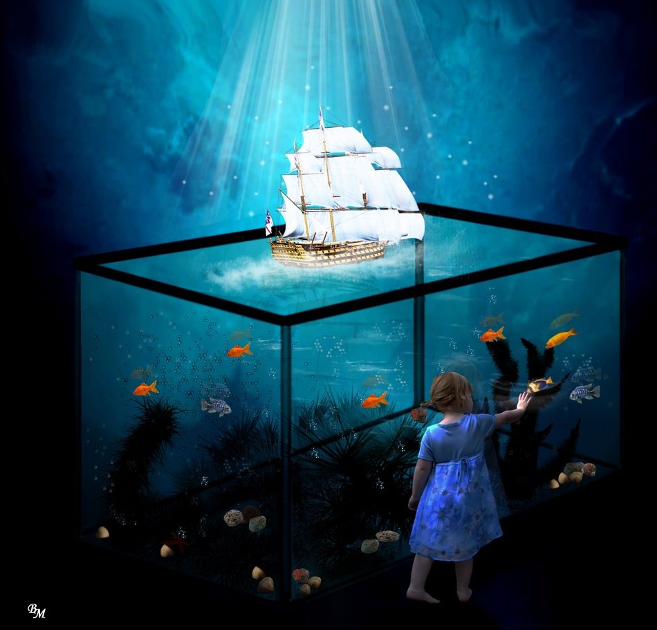 Photo of fantastic aquarium