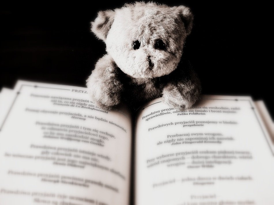 soft teddy bear reads a book in a blurred background