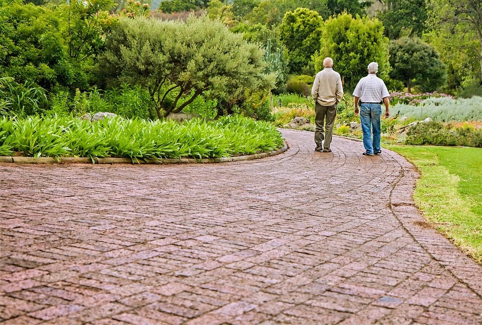 older men walk in the park