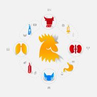 Set of veterinary icons N83