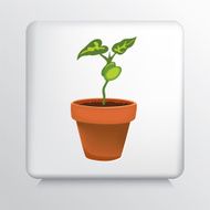 Square Icon With Terra Cotta Flower Pot and Bean Plant