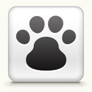 Square Button with Dog Paw interface icon