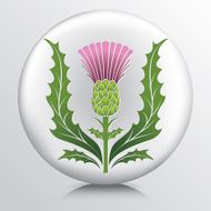 Icon With Scotch Thistle And Leaves N2