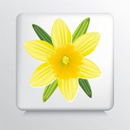 Icon With Yellow Daffodil