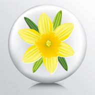 Icon With Yellow Daffodil N2