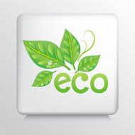 Square Icon With Green Leaves And The Word Eco