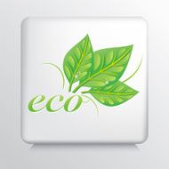 Square Icon With Green Leaves And The Word Eco N2