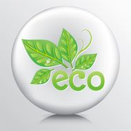 Round Icon With Green Leaves And The Word Eco N3