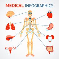 Human organs infographic