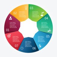 Vector circle infographic N66