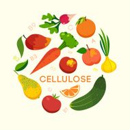 Healthy eating set vegetables and fruits cellulose vitamins Vector illustration