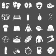Vector Set of Mix Martial Arts Icons N3