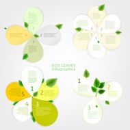 Leaves infographic N5