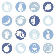 Vector Set of Fruit Icons N7