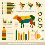 Animal husbandry infographics flat design elements