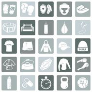 Vector Set of Mix Martial Arts Icons N4
