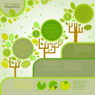 Leaves infographic N6