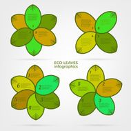 Leaves infographic N7