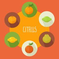 Citrus icons set