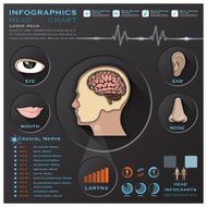 Head And Otolaryngology System Medical Infographic Infochart N2