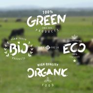 Organic eco bio green labels and icons set N2