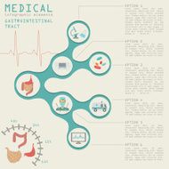 Medical and healthcare infographic N24