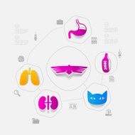 Veterinary sticker infographic N98