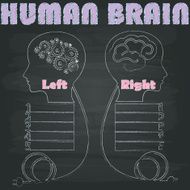 Brain Right and Left