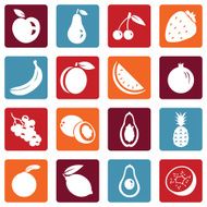 Vector Set of Fruit Icons N8