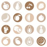 Vector Set of Fruit Icons N9
