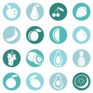 Vector Set of Fruit Icons N10