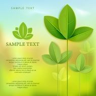 Branch with green leaves on color &amp; text