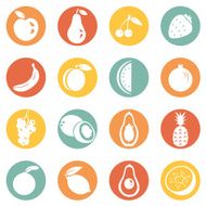 Vector Set of Fruit Icons N11