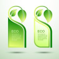Eco template N3