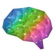 Geometry brain
