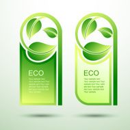 Eco template N4