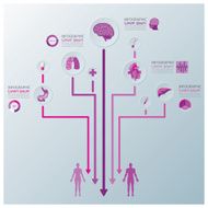 Health And Medical Infographic Infochart