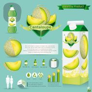 Vector illustration Cantaloupe package infographics
