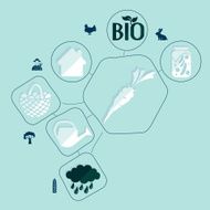 agriculture flat infographic N26