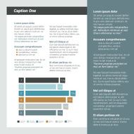 Booklet page Magazine layout for infographics Web template N11