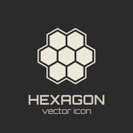 Hexagon icon N2