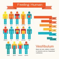 feelings infographic humans vector