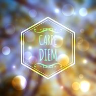 Corporate website design Carpe Diem