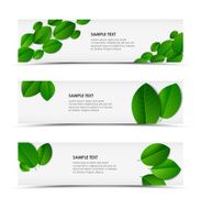Fresh spring horizontal banners
