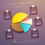 abstract pie chart infographics N14