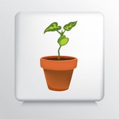Square Icon With Terra Cotta Flower Pot and Bean Plant