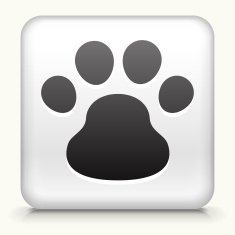 Square Button with Dog Paw interface icon