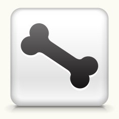 Square Button with Dog Bone interface icon