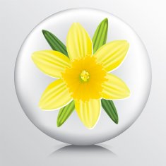 Icon With Yellow Daffodil N2