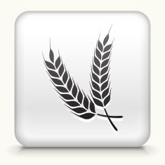 Square Button with Barley